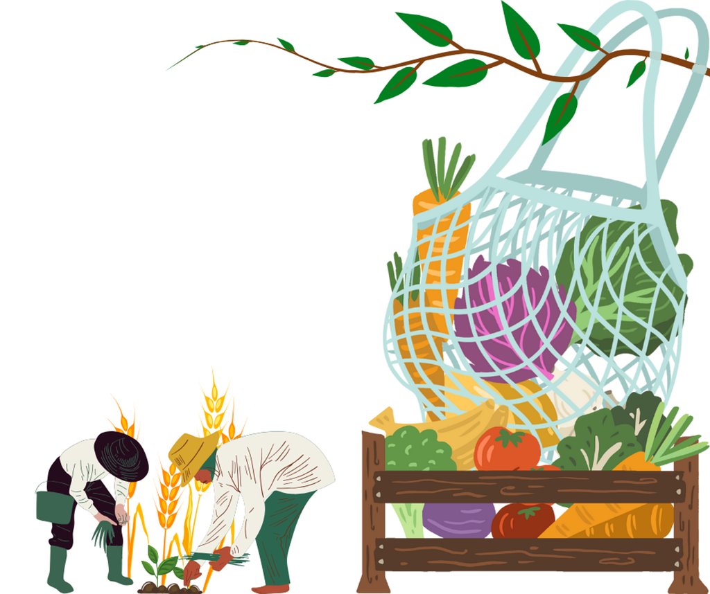 Ouverture d’un concept-store écoresponsable